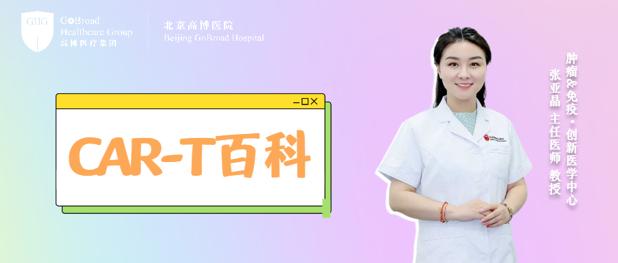 张亚晶主任：CAR-T细胞如何打赢“持久战”？真正影响长期疗效的，不只是“一次输注”